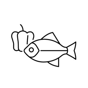 Zander (Bitte Vorbestellen)