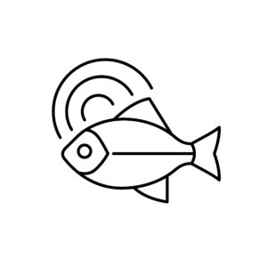 Pasta mit Langustenragout